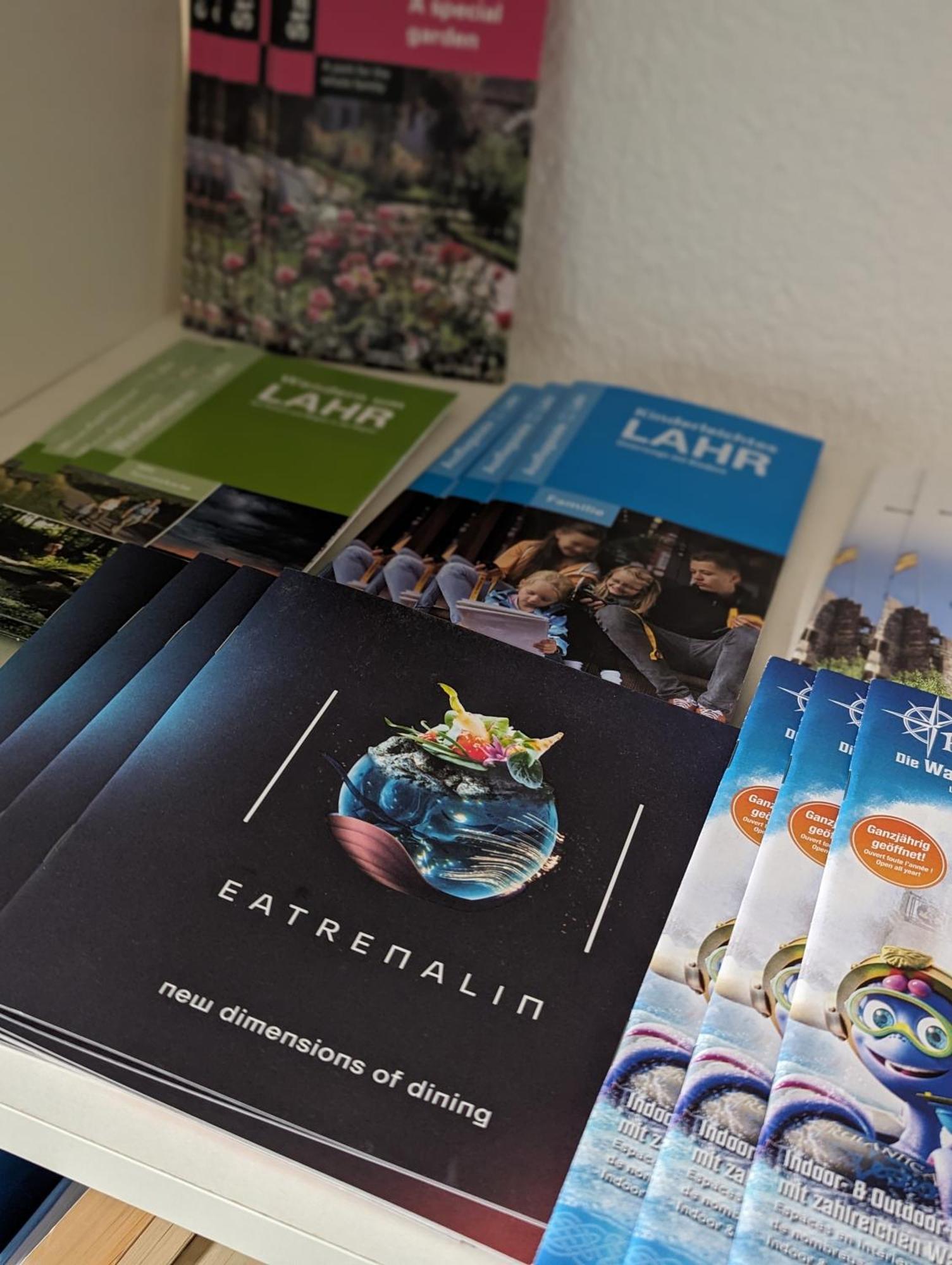 Ferienwohnung Nahe Europa Park Lahr  Bagian luar foto